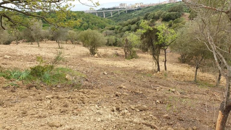 LavoriAgraria