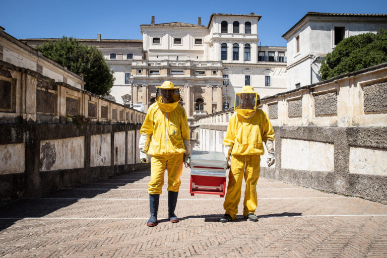 04_Barberini_Api_FotoAlbertoNovelli