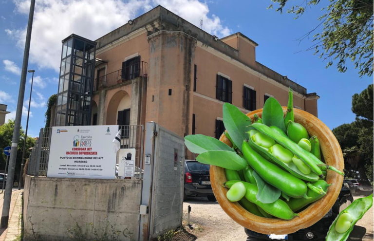 civitavecchia servizi pubblici - fave