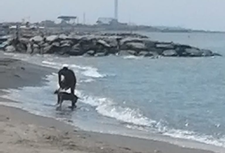 salvataggio in mare boa sorte2