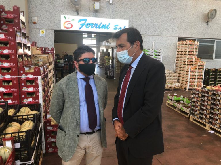 musolino-pallottini