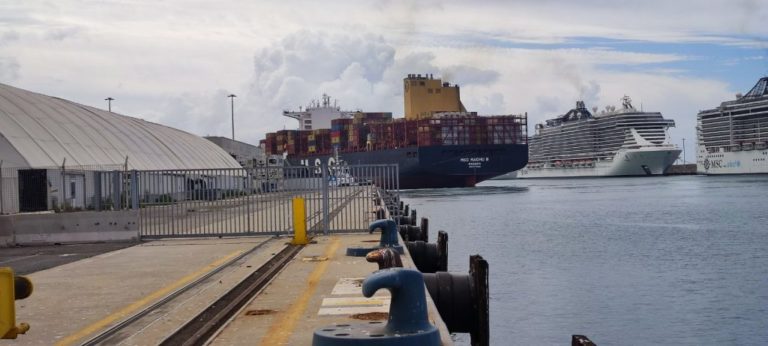 portacontainer-1024x461