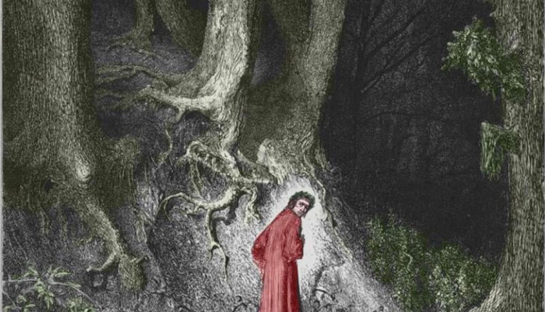 immagine-selva-inferno