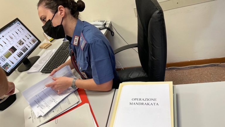 Operazione Mandrakata