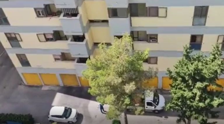 disinfestazione campo delloro