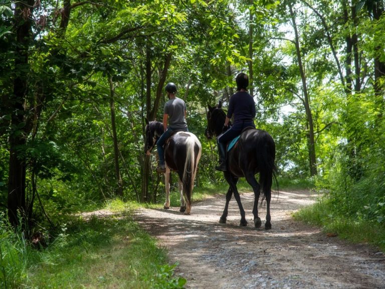 passeggiata-a-cavallo (1)