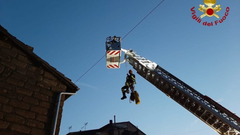 vitorchiamo cane in un burrone