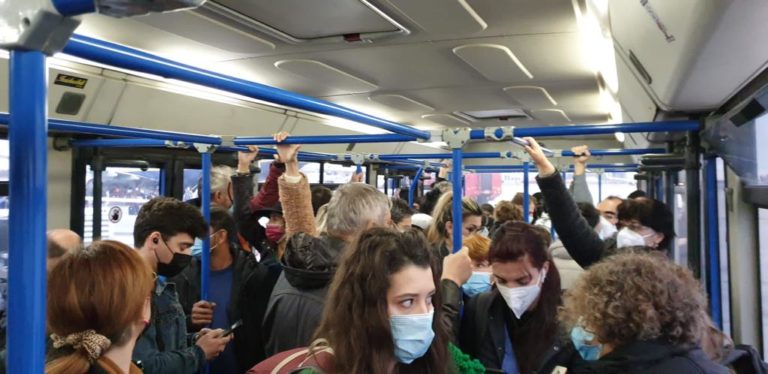 bus