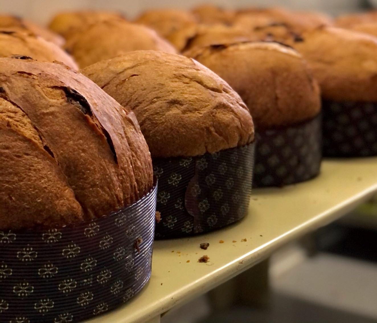 panettone