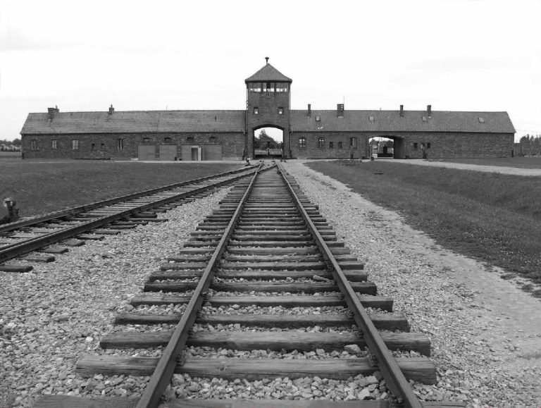 SHOAH21170x558
