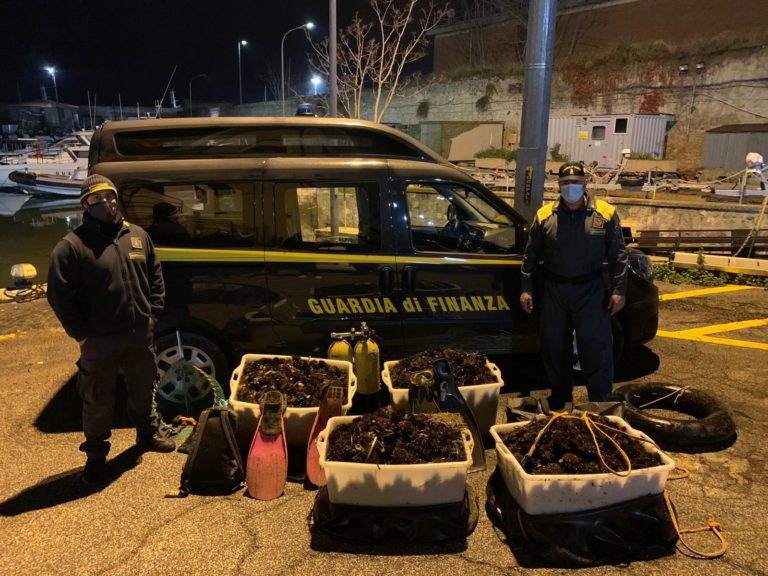 sequestro ricci