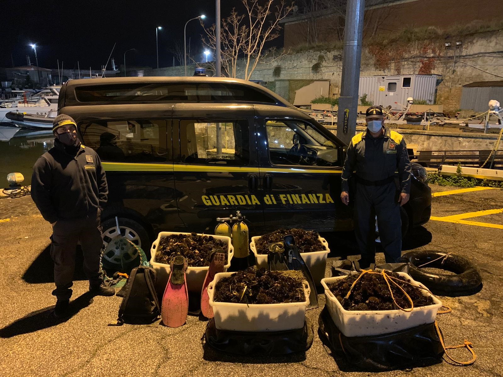 sequestro ricci