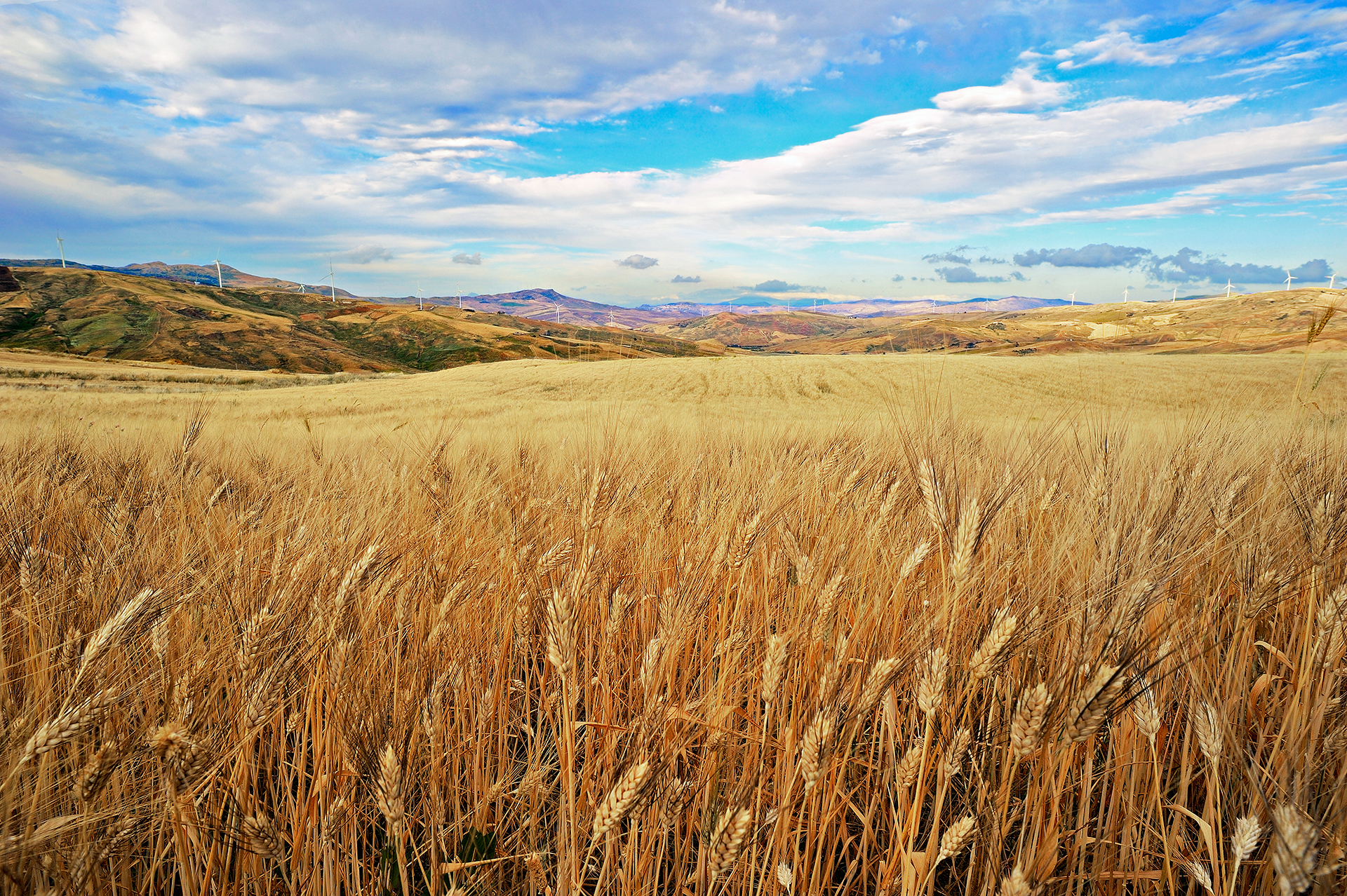 campodigrano_