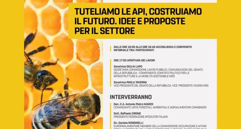 api