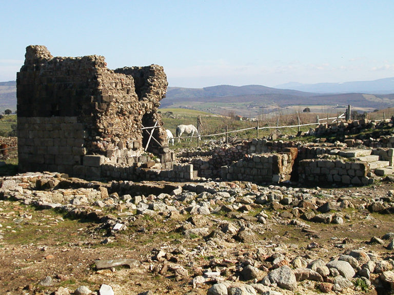 cencelle