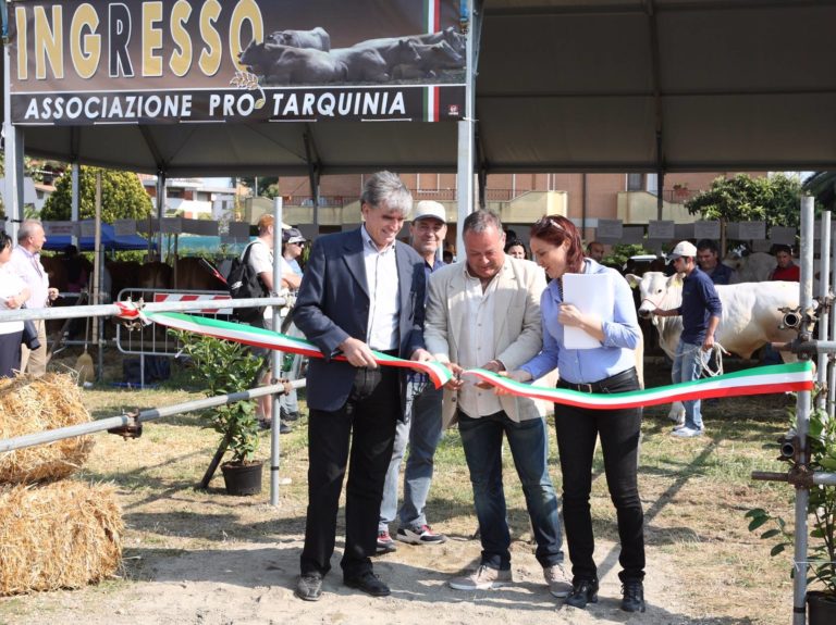 paolo giorgi