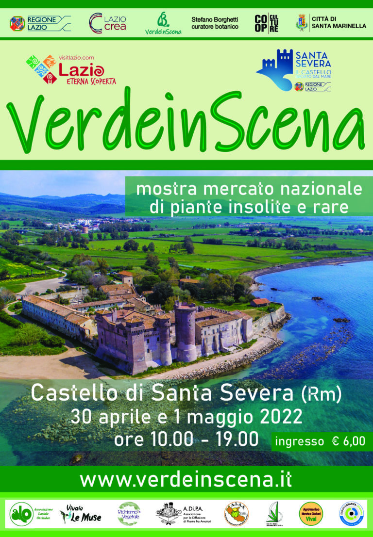 verde in scena manifesto modificato_Layout 1