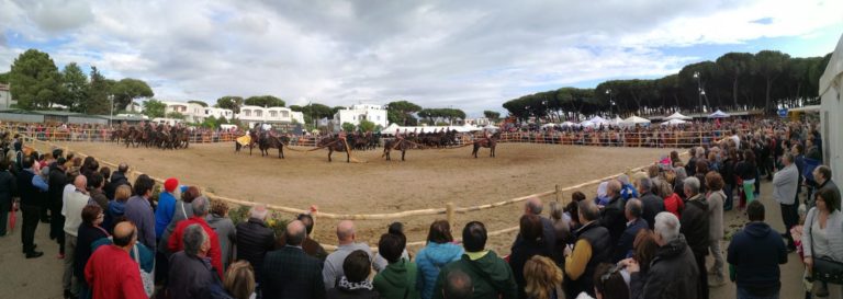panoramica