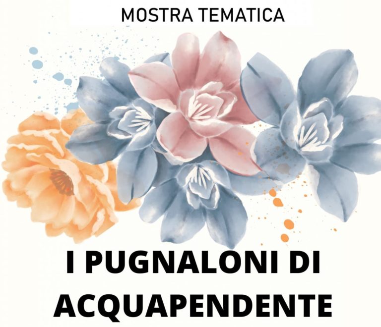 pugnaloni