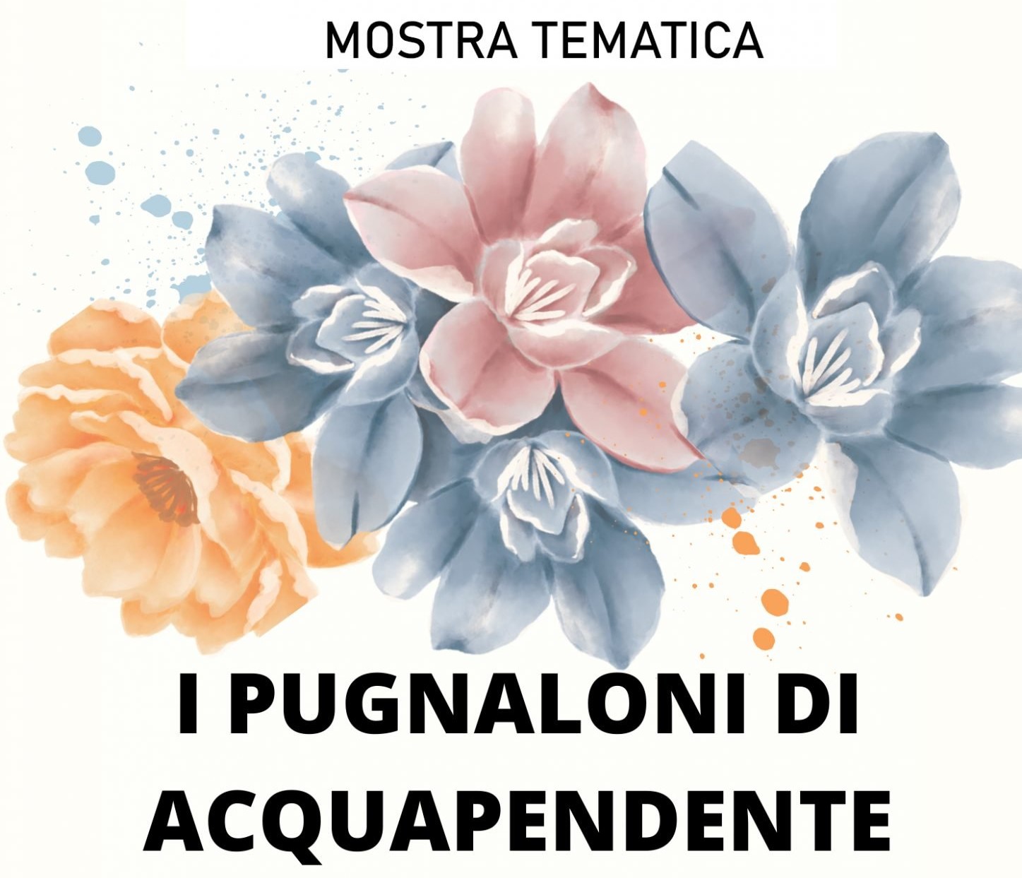 pugnaloni