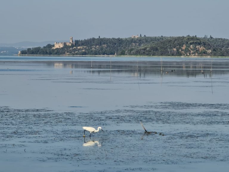 20220703_Trasimeno_1