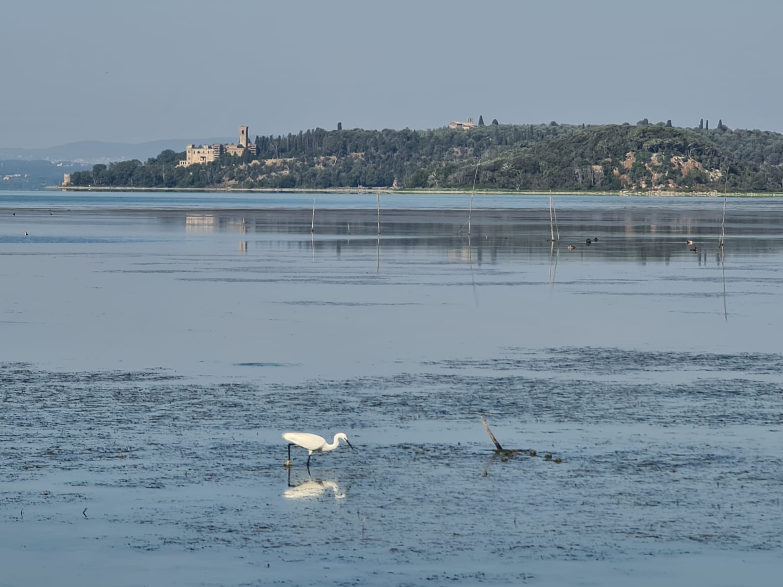20220703_Trasimeno_1