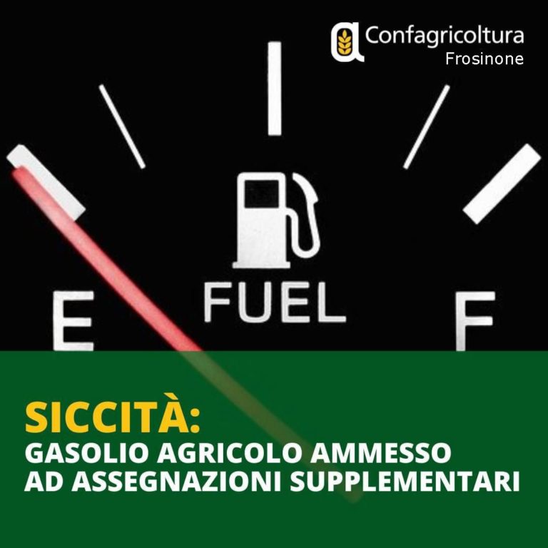 WhatsApp Image 2022-07-28 at 07.38.46