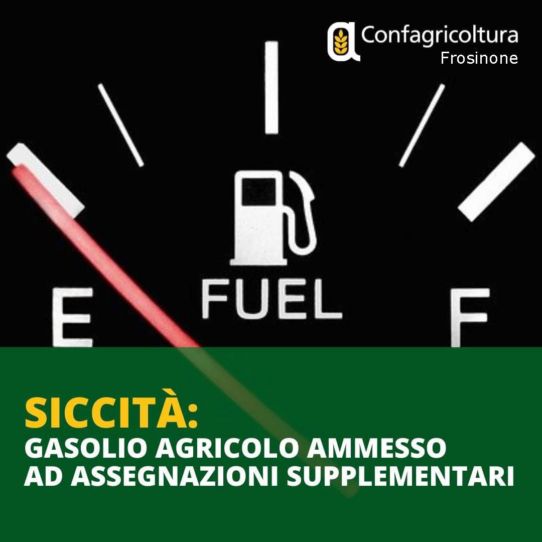 WhatsApp Image 2022-07-28 at 07.38.46