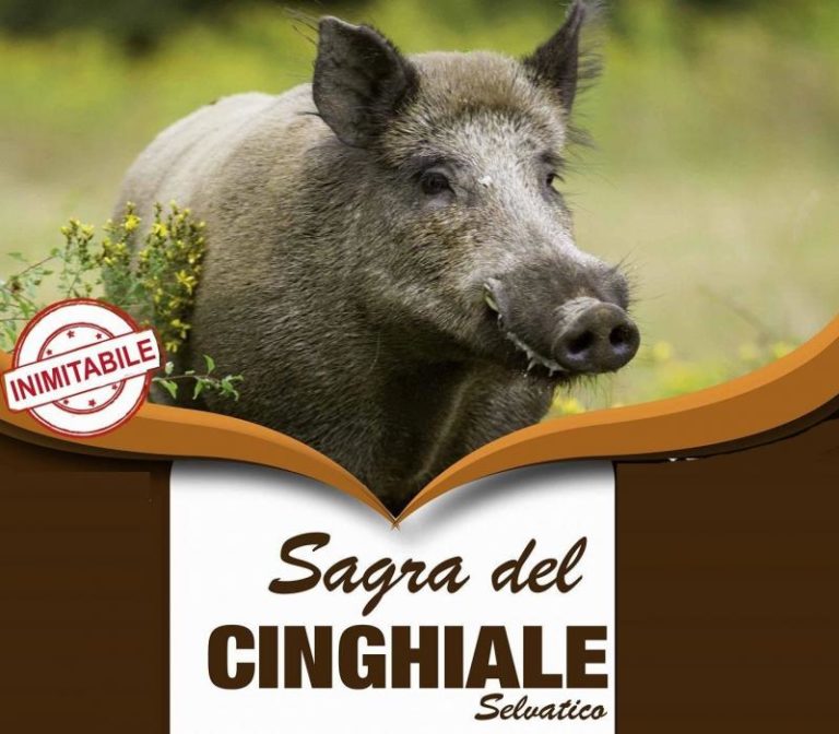 sagra_del_cinghiale