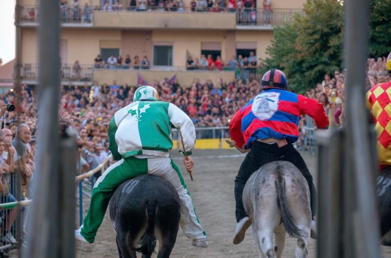 ALLUMIERE_PALIO_4