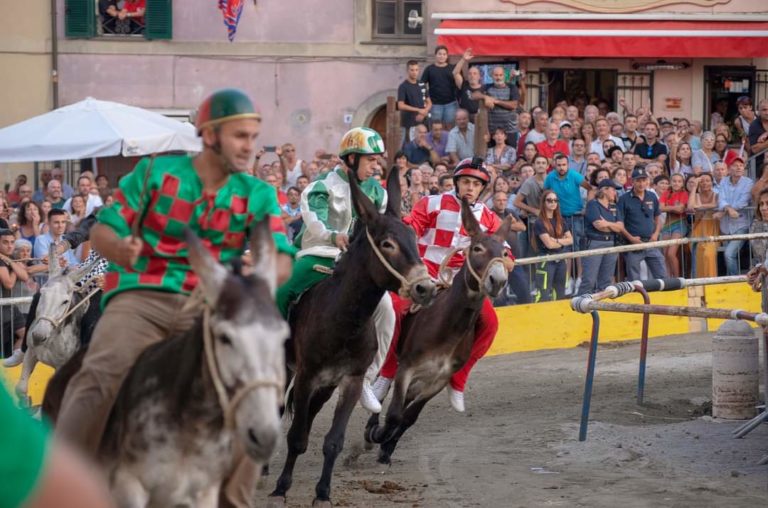 ALLUMIERE_PALIO_8