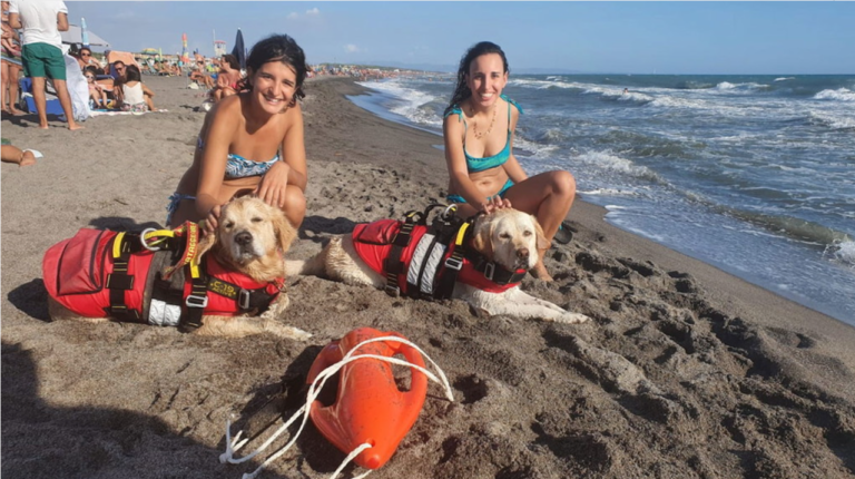 donne salvate dai cani in mare montalto
