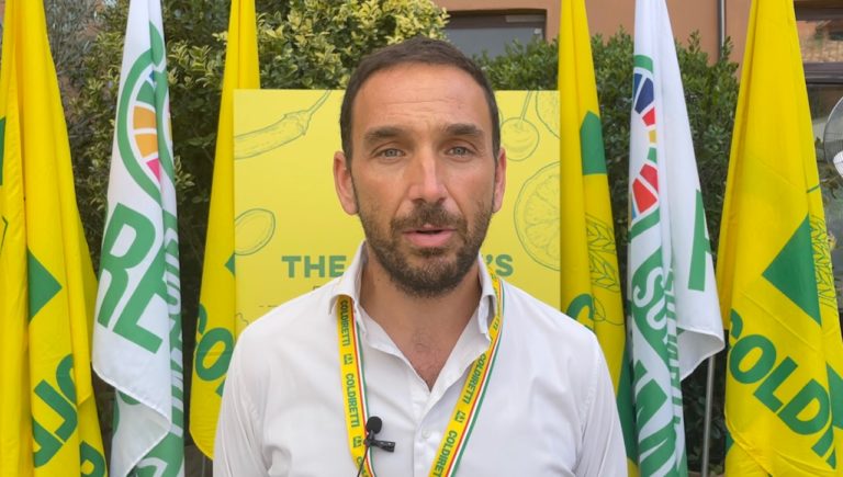 David20Granieri