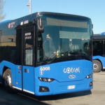 autobus-cotral-nuovi-e1491387697571-480x334