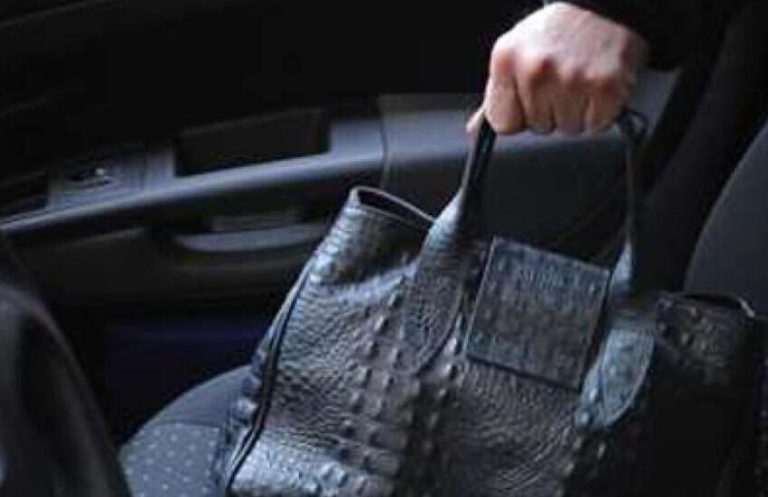 furto-borsa-da-auto