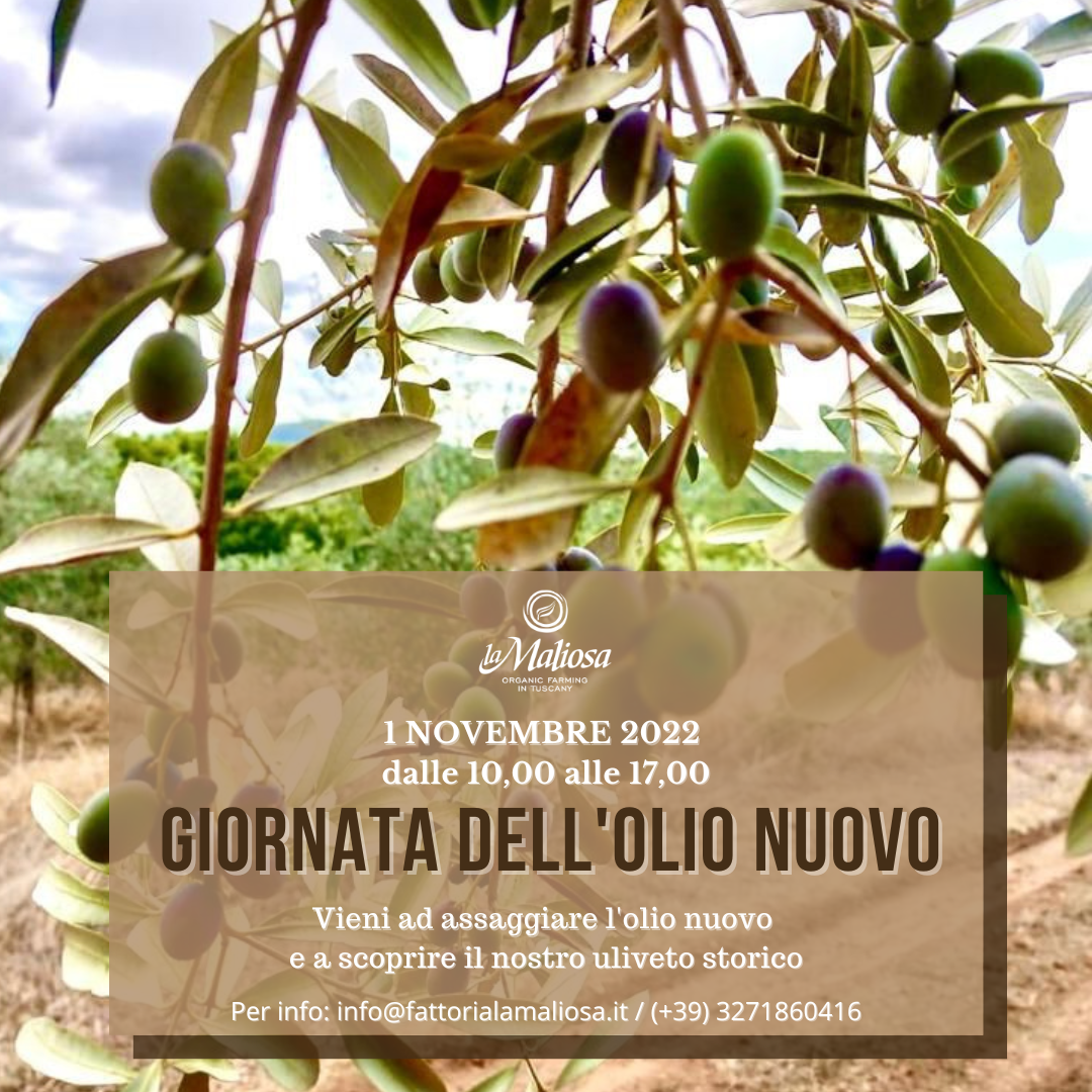 Locandina_La giornata dell'olio nuovo