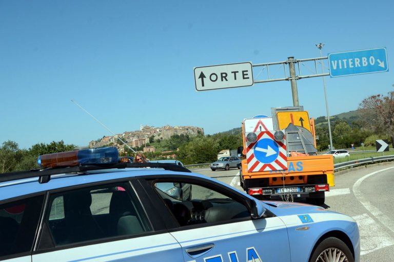 ORTE VITERBO