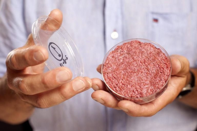 Lab-grown beef presented in London