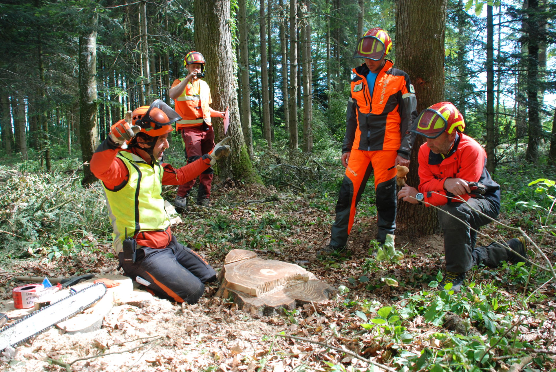 operatore forestale