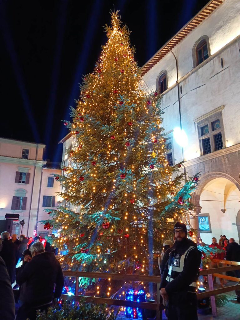 albero