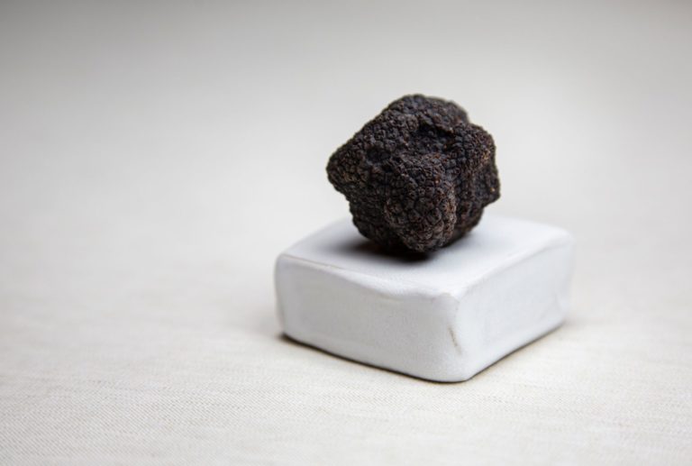 tartufo