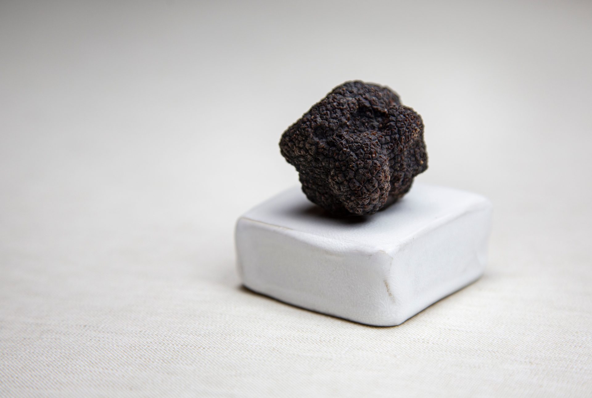 tartufo