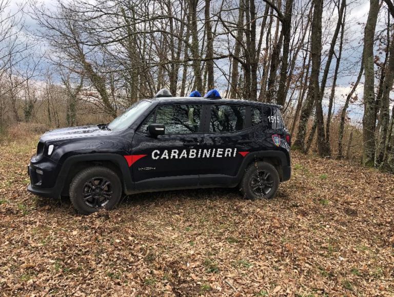 carabinieri forestali