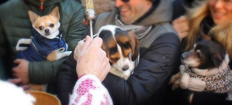 eChianti_benedizione_Animali