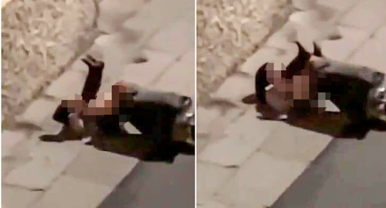 sesso in strada
