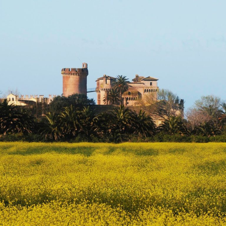 Castello con fiori (2)