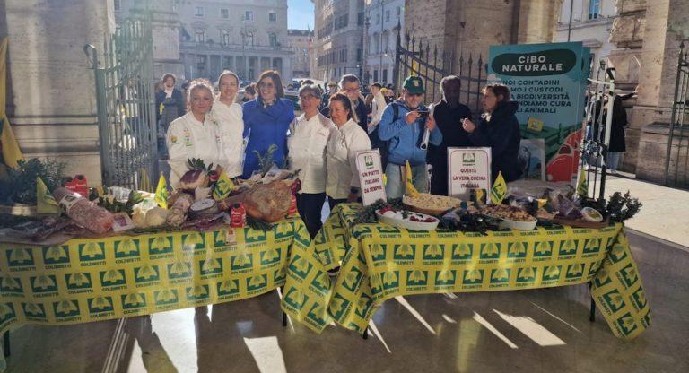 No cibo sintetico