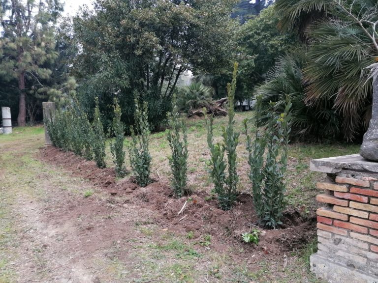 villa bruschi falgari partono le piantumazioni