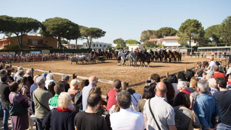 maremma_damare-1260x710