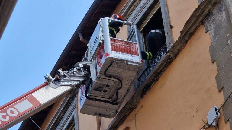 vigili